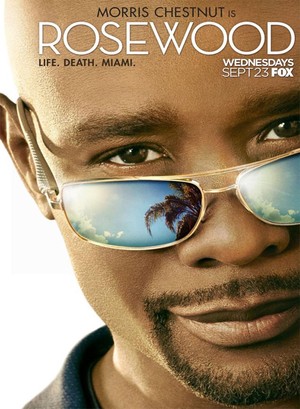 Rosewood (TV Series 2015- ) DVD Release Date