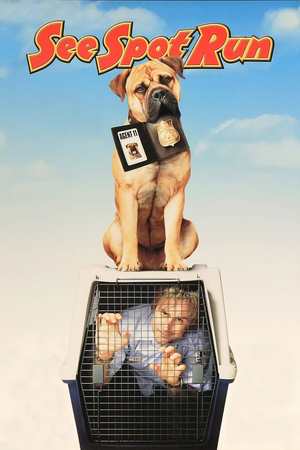 See Spot Run (2001) DVD Release Date