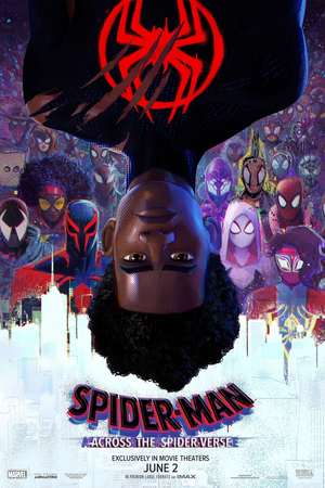 Spider-Man: Across The Spider-verse (Blu-Ray + DVD + Digital Copy)