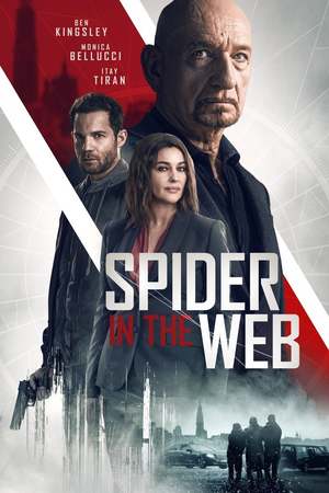 Spider in the Web (2019) DVD Release Date