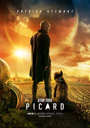 Star Trek: Picard (TV Series 2020- ) DVD Release Date