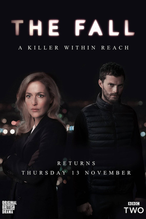 The Fall (TV Series 2013- ) DVD Release Date