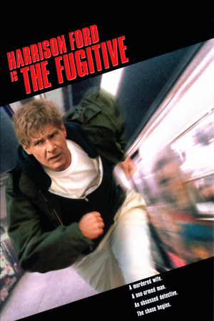 The Fugitive (1993) DVD Release Date