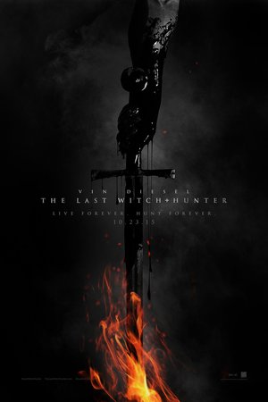 The Last Witch Hunter (2015) DVD Release Date