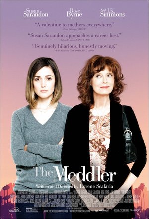 The Meddler (2015) DVD Release Date