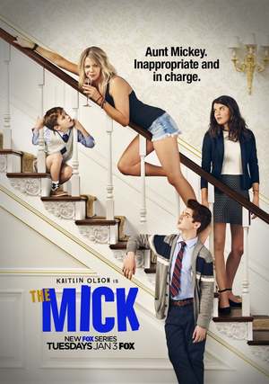 The Mick (TV Series 2017-2018) DVD Release Date