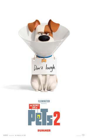 The Secret Life of Pets 2 (2019) DVD Release Date
