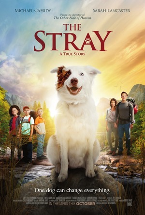 The Stray (2017) DVD Release Date