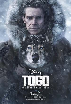 Togo (2019) DVD Release Date