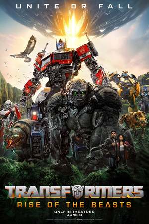 Transformers: Rise of the Beasts (2023) DVD Release Date