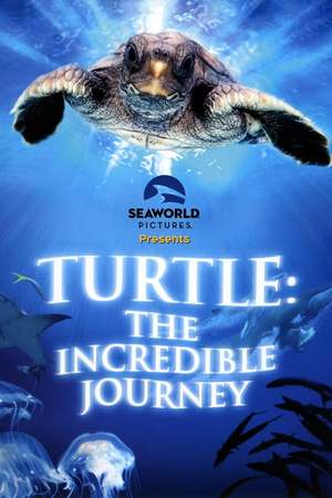 Turtle: The Incredible Journey (2009) DVD Release Date
