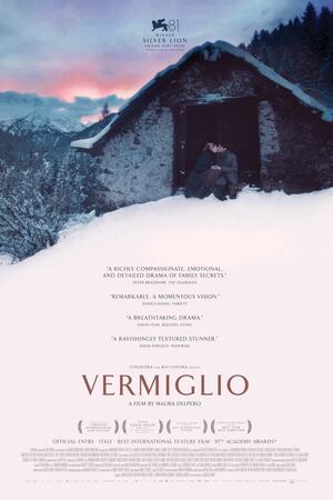 Vermiglio (2024) DVD Release Date
