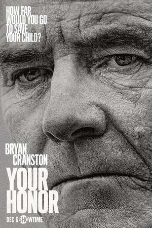 Your Honor (TV Series 2020-2021) DVD Release Date