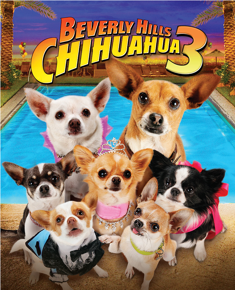 Beverly Hills Chihuahua 3 Dvd Release Date September 18 2012 - beverly hills chihuahuas chihuahua full song roblox id