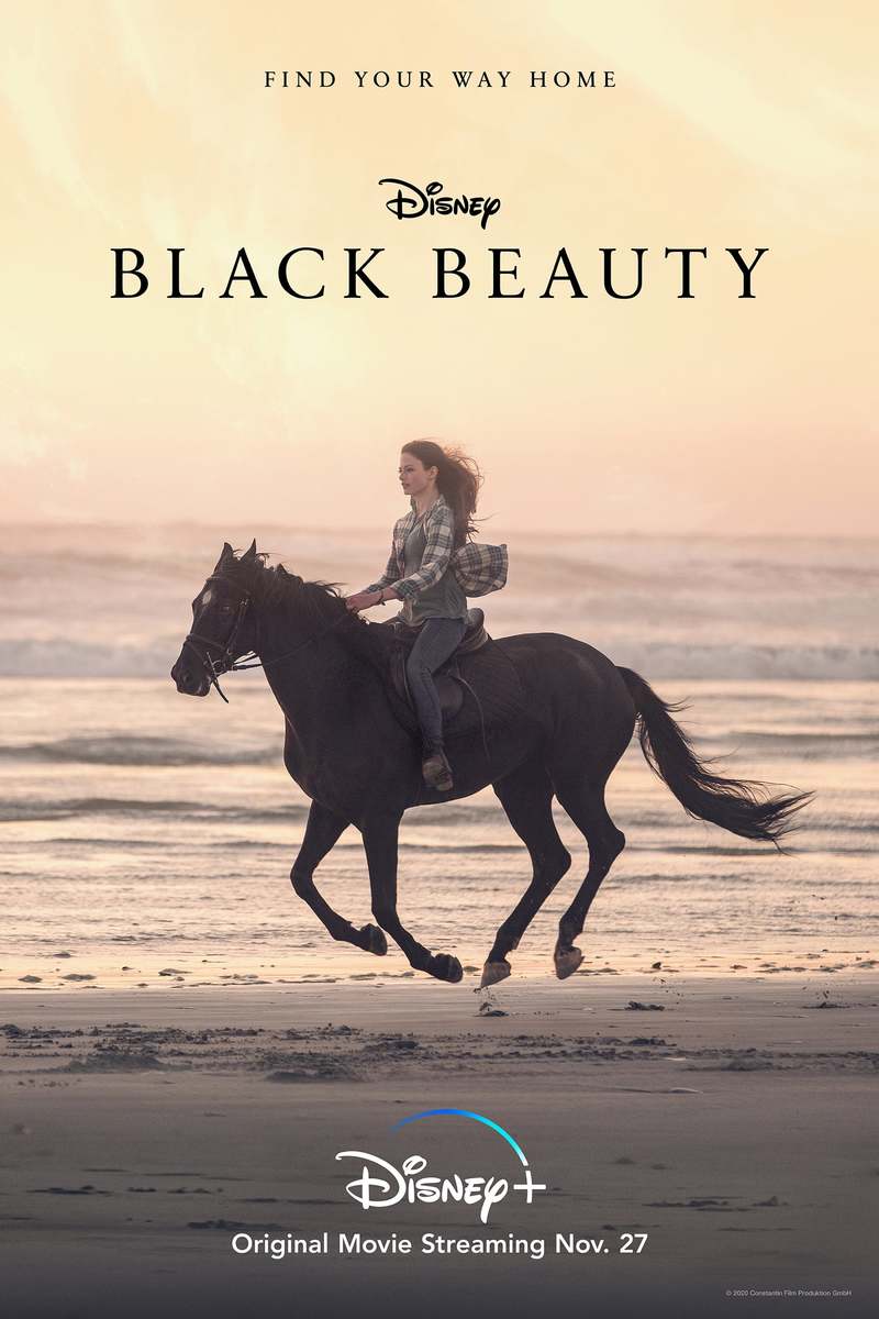 Black Beauty (DVD) [Special edition] (2023)